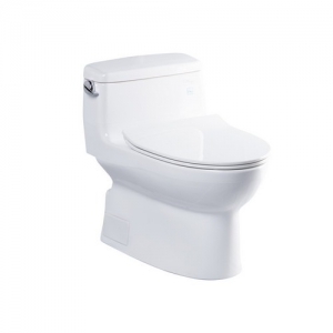 Bồn cầu 1 khối TOTO cao cấp C884