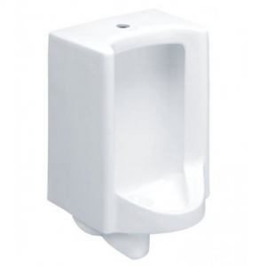 Bồn Tiểu Nam Treo Tường Natasha Chính Hãng COTTO C313