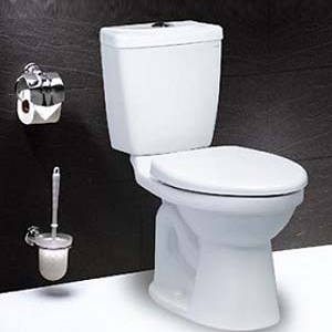 Bồn cầu 2 khối Caesar CT1325 (nắp thường)