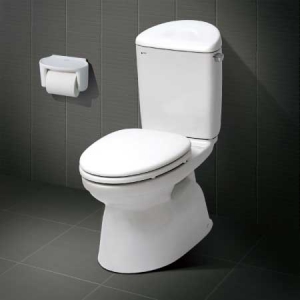 Bồn cầu hai khối inax C-828VRN (Nắp êm)