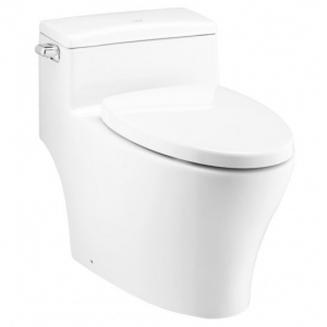 Bồn Cầu Một Khối Nắp Đóng Êm Pause Chính Hãng Cotto C10347