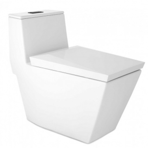 Bồn Cầu Một Khối Nắp Đóng Êm Skive Chính Hãng Cotto C102807