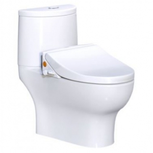 Bồn Cầu Thông Minh 2 Khối CAESAR CD1349/TAF050