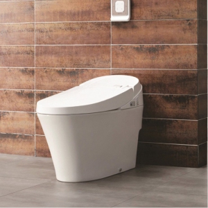 Bồn Cầu Điện Tử Viglacera V91