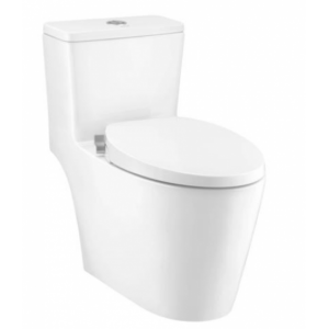 Bàn Cầu 1 Khối Nắp Rửa Cơ Chính Hãng COTTO C110507(CN1) Harmony