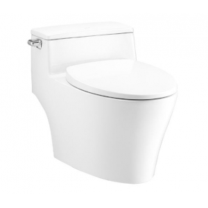 Bồn Cầu Một Khối Nắp Đóng Êm Veranda Chính Hãng Cotto C10357