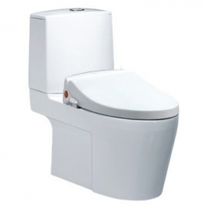 Bồn Cầu 2 Khối Nắp Rửa Cơ Chính Hãng Caesar CD1345/TAF050