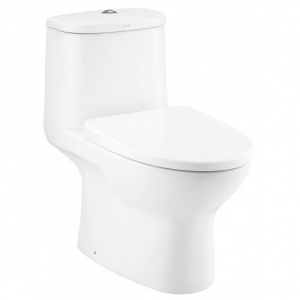 Bồn Cầu Một Khối Nắp Đóng Êm Micc Chính Hãng Cotto C1053