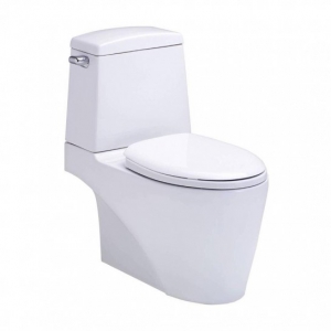 Bồn Cầu Hai Khối Nắp Đóng Êm Riviera Xả Gạt Chính Hãng Cotto C13527