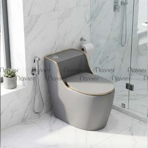 Bồn Cầu 1 Khối Xám Viền Vàng Nút Lệch NV-1013X